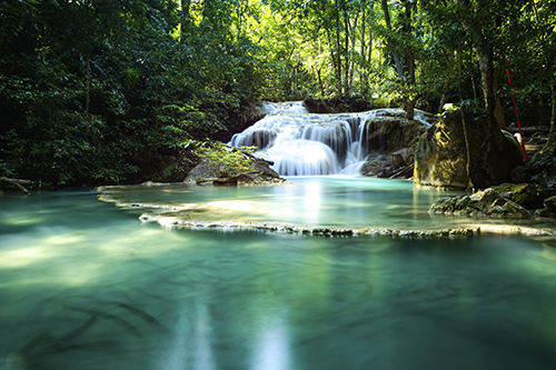 River in Tropical Rainforest